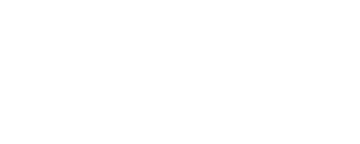 Website Revision (24)